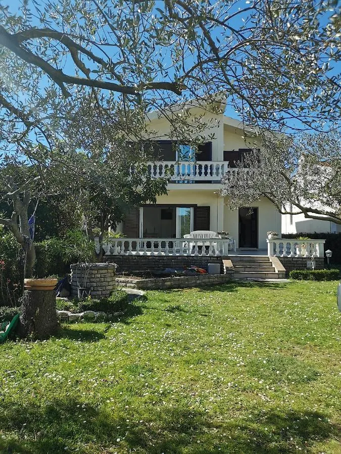 Home Nicole Bibinje