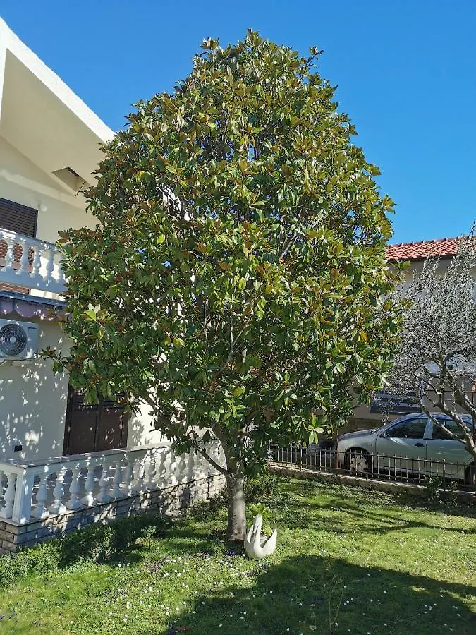 Prázdninový dům Home Nicole Bibinje