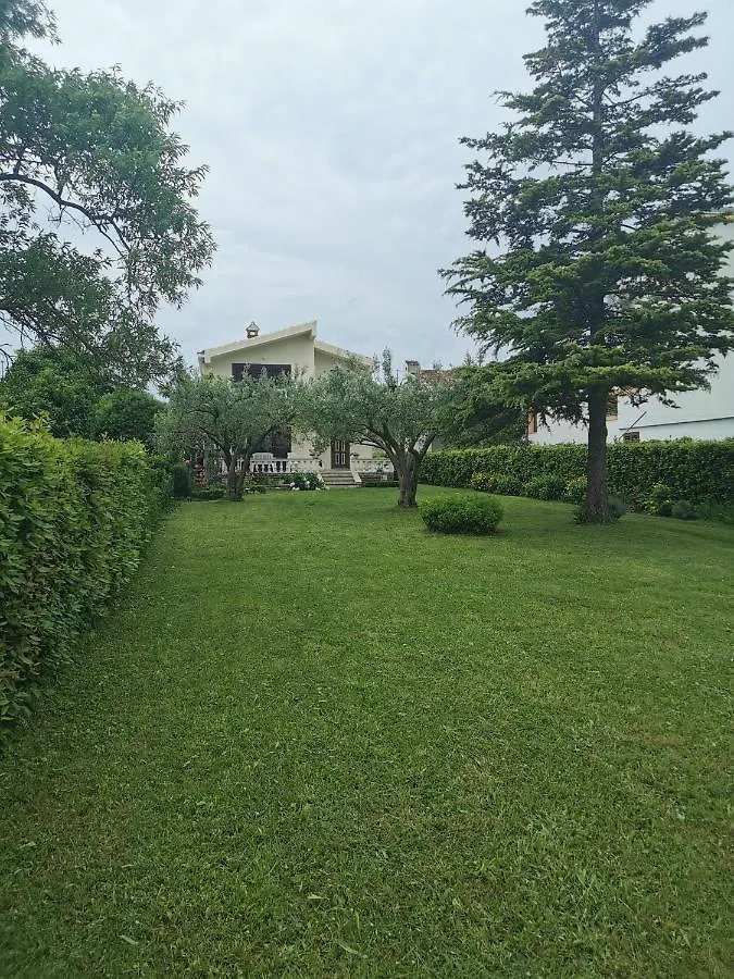 Home Nicole Bibinje