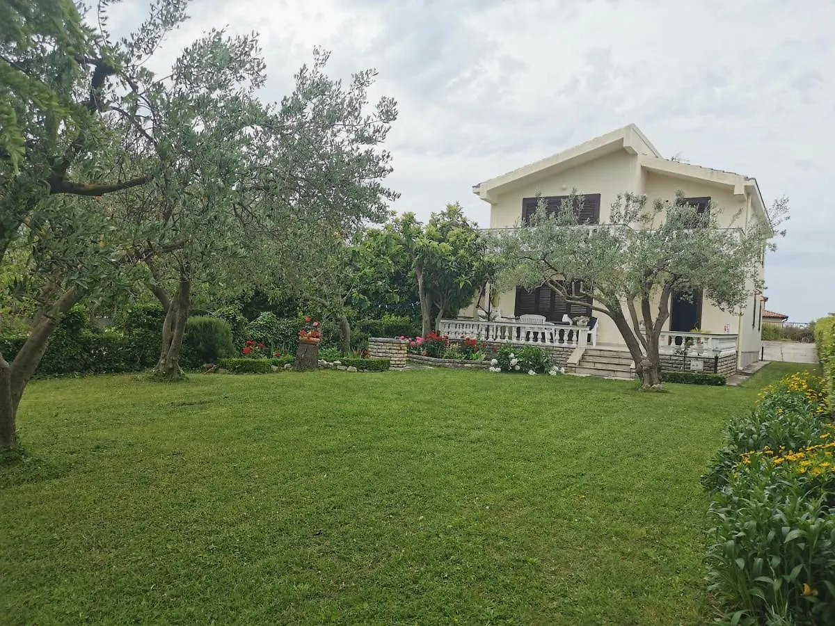 Home Nicole Bibinje