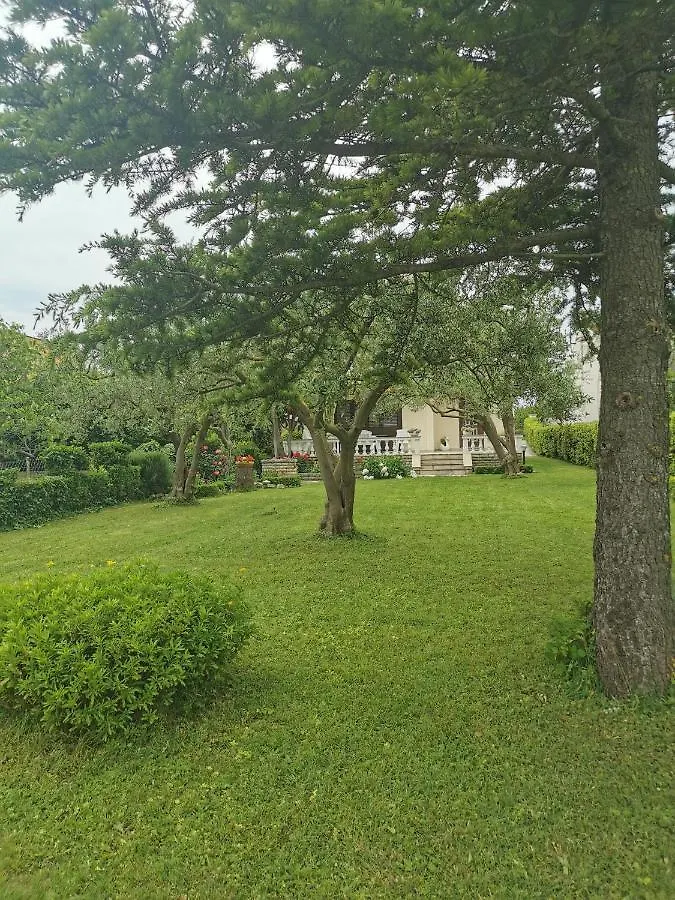 Holiday home Home Nicole Bibinje