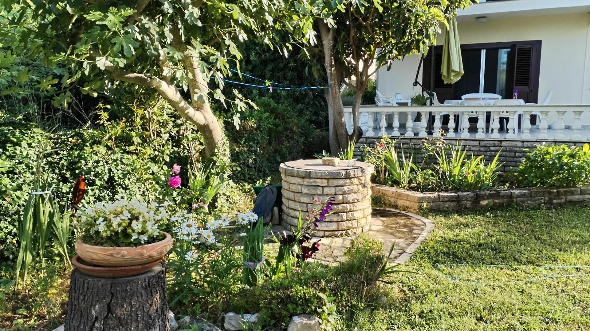 Home Nicole Bibinje